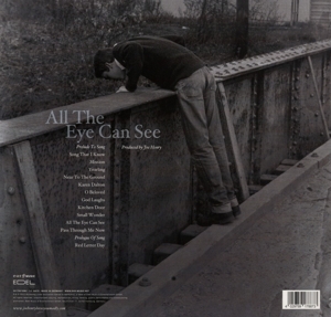 all-the-eye-can-see-henry-joe-ear-music-lp-analog-_0002.JPG