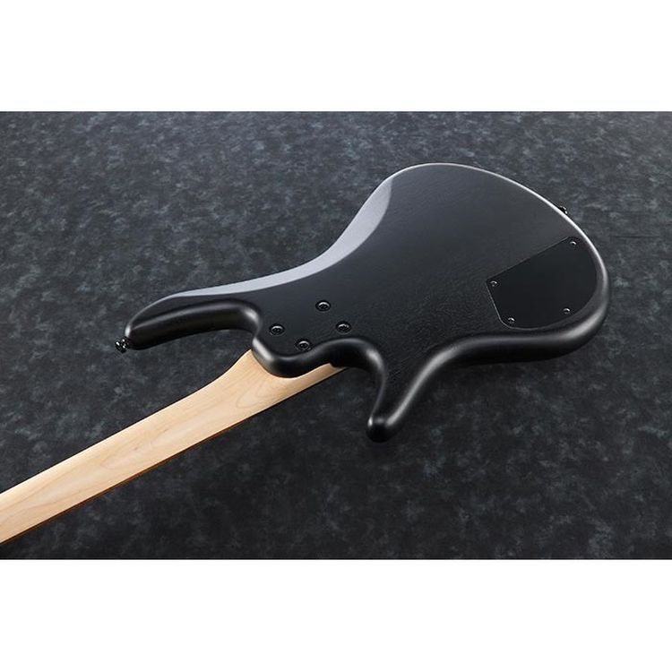 basse-electrique-ibanez-modele-mikro-gio-limited-e_0003.jpg