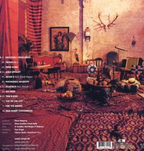 new-dubby-conquerors-seeed-downbeat-records-lp-ana_0002.JPG