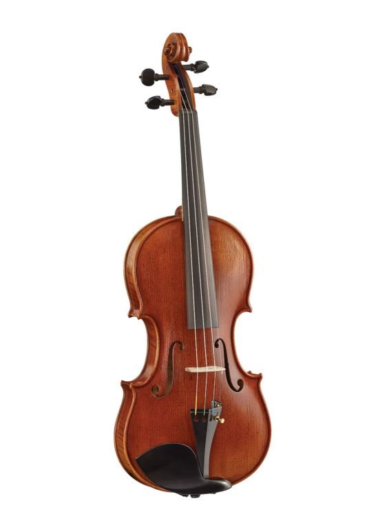 violin-4-4-gill-heinrich-model-stradivari-w3-buben_0001.jpg