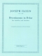 joseph-haydn-divertimento-d-dur-fl-strorch-_partit_0001.JPG