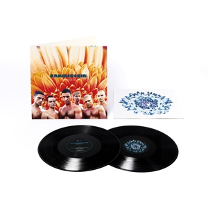 herzeleid-rammstein-vertigo-berlin-lp-analog-_0001.JPG