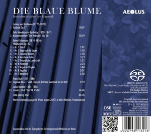die-blaue-blume-martin-schmeding-orgel-aeolus-musi_0002.JPG