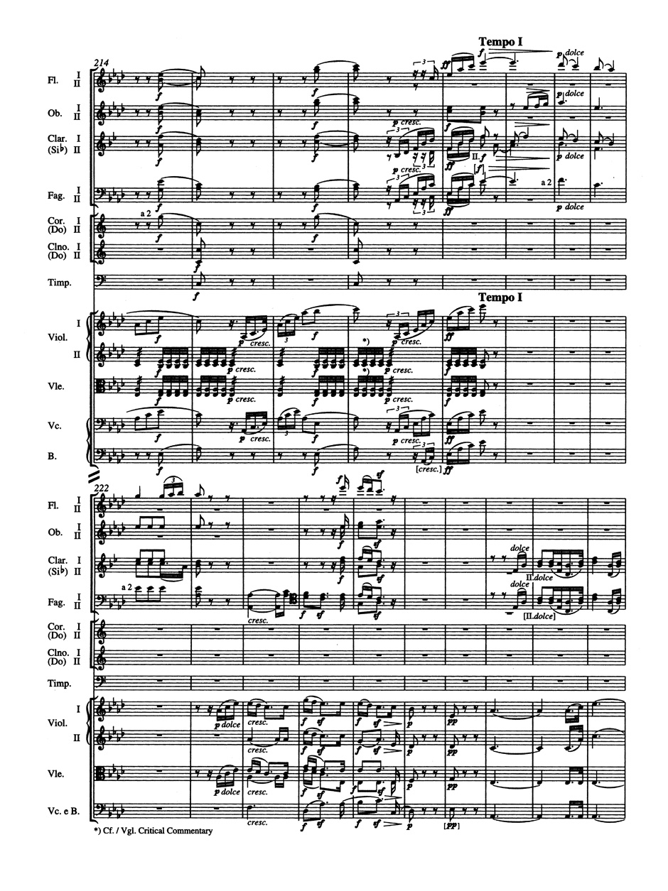 ludwig-van-beethoven-sinfonie-no-5-op-67-c-moll-or_0007.JPG