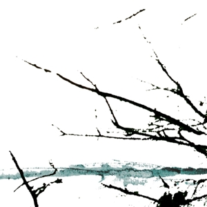 vaere-tenhi-cd-_0001.JPG