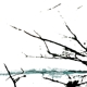 vaere-tenhi-cd-_0001.JPG
