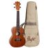concertukulele-flight-modell-nuc310-sapele-sapelli_0001.jpg