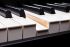 synthetiseur-roland-modele-fantom-8-ex-noir-_0005.jpg