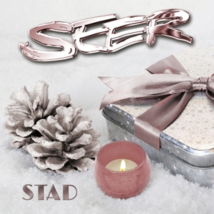 stad-seer-cd-_0001.JPG