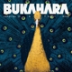 canaries-in-a-coal-mine-bukahara-bml-records-lp-an_0001.JPG