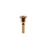 embouchure-cornet-a-pistons-denis-wick-dw3181g-4b-_0001.jpg