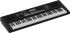 clavier-roland-modele-e-x10-arranger-noir-_0002.jpg