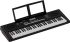 clavier-roland-modele-e-x10-arranger-noir-_0003.jpg