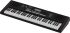 clavier-roland-modele-e-x10-arranger-noir-_0005.jpg