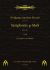 wolfgang-amadeus-mozart-sinfonie-no-40-1-satz-kv-5_0001.jpg