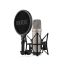 microphone-rode-modele-nt1-5th-gen-xlr--usb-argent_0001.jpg