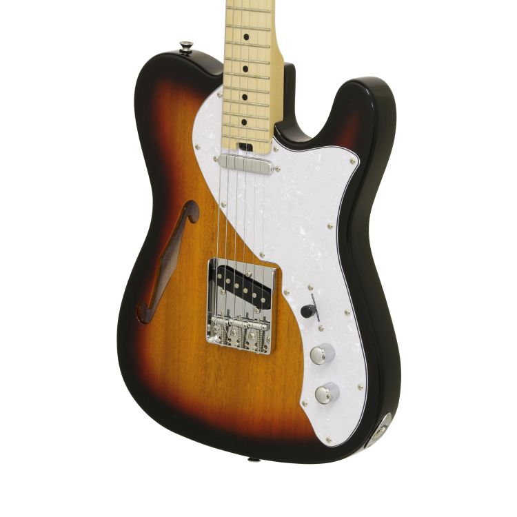 guitare-electrique-aria-modele-teg-tl-modern-class_0003.jpg