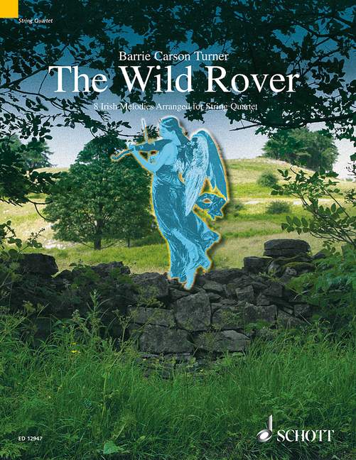 the-wild-rover-2vl-va-vc-_pst_-_0001.JPG