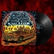 radillac-skin-failure-small-pond-lp-analog-_0001.JPG