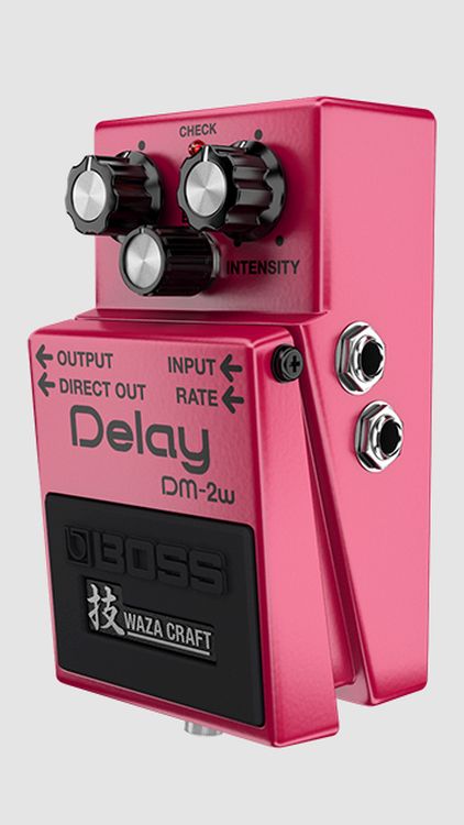 effektpedal-boss-modell-dm-2w-delay-waza-craft-rot_0005.jpg