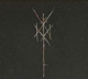 theres-always-blood-at-the-end-of-the-road-wiegedo_0001.JPG