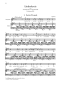robert-schumann-liederkreis-op-39-ges-pno-_hoch-ur_0006.JPG