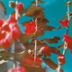 breathe-lawson-chad-deutsche-grammophon-cd-lawson-_0001.JPG