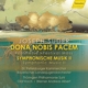 dona-nobis-pacem-festmesse-symphonische-musik-st-p_0001.JPG