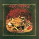 meat-puppets-1-meat-puppets-megaforce-lp-analog-_0001.JPG