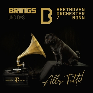 alles-tutti_-brings--beethoven-orchester-bonn-elec_0001.JPG
