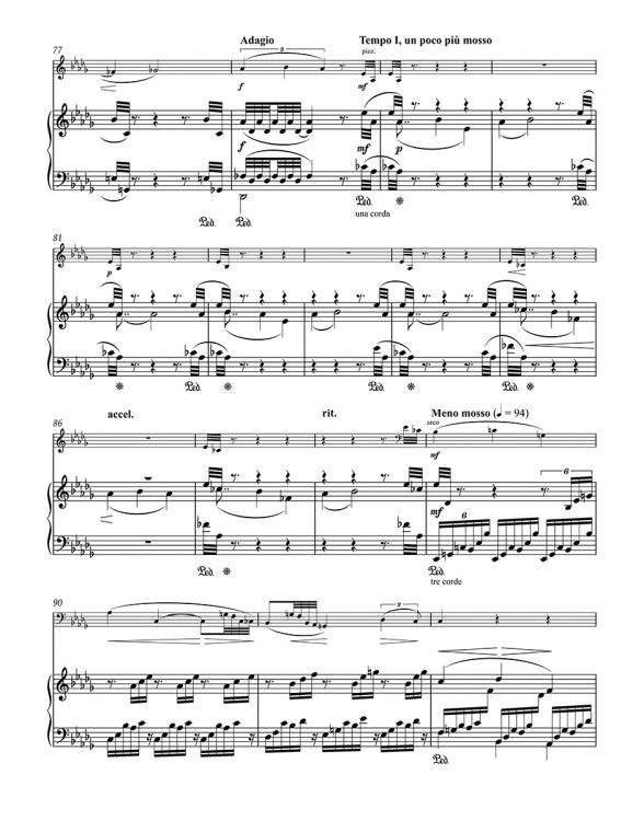 leos-janacek-sonate-vc-pno_0003.jpg