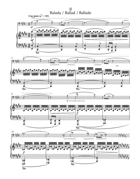 leos-janacek-sonate-vc-pno_0004.jpg