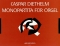 caspar-diethelm-monopartita-op-106-org-_0001.JPG