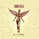 in-utero-20th-anniversary-remaster-nirvana-geffen-_0001.JPG