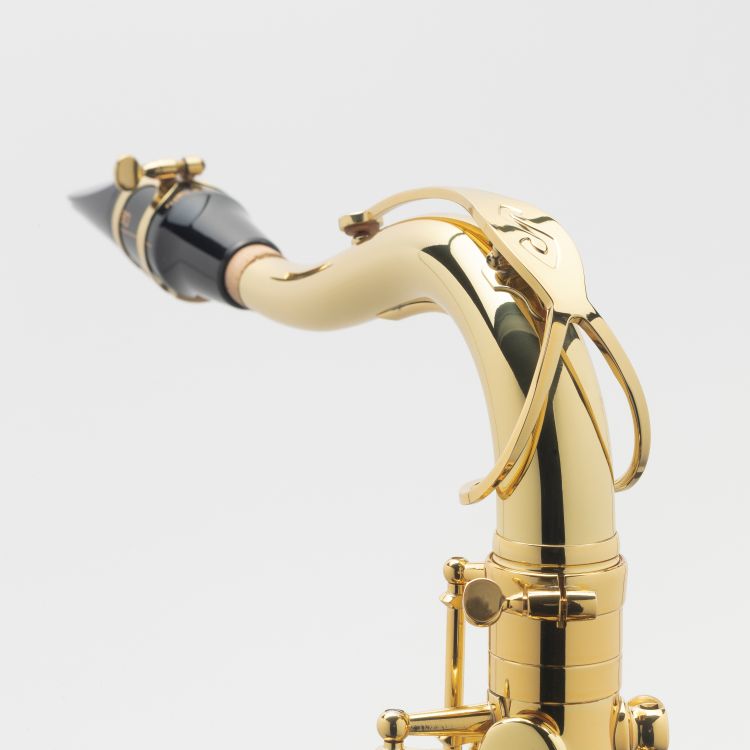 tenor-saxophon-selmer-axos-lackiert-gold-_0007.jpg