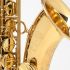 tenor-saxophon-selmer-axos-lackiert-gold-_0005.jpg