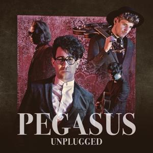 unplugged-pegasus-gadget-cd-_0001.JPG