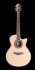 westerngitarre-furch-modell-red-gc-sr-masters-choi_0001.jpg
