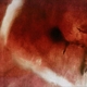 the-death-of-kalypso-angles--elle-kari-with-string_0001.JPG
