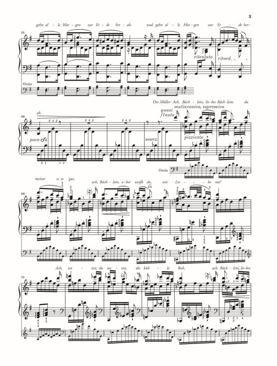 robert-schumann-franz-liszt-der-mueller-und-der-ba_0006.jpg