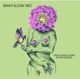 once-upon-a-time-in-the-desert-brant-bjork-trio-du_0001.JPG