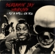 i-put-a-spell-on-you-jay-hawkins-screamincollectio_0001.JPG