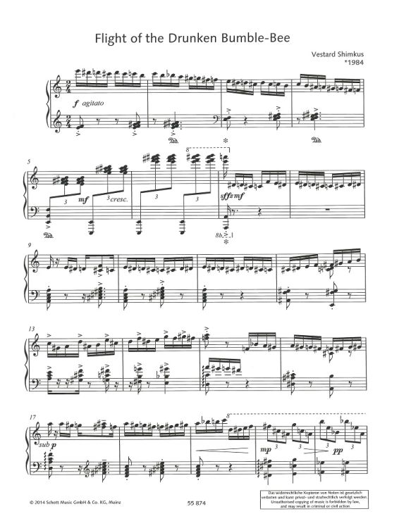 vestard-shimkus-flight-of-the-drunken-bumble-bee-2_0002.jpg