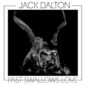 past-swallows-love-jack-dalton-lp-analog-_0001.JPG