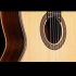 classical-guitar-asturias-model-standard-c-cedar-_0003.jpg