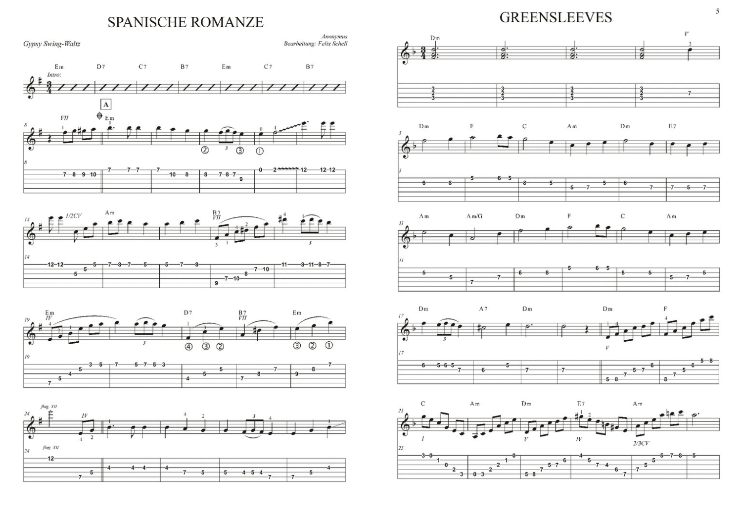 felix-schell-swinginjazz-a-la-musette--manouche-gt_0007.JPG