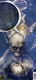 titans-of-creation-video-album-ltd-testament-nucle_0002.JPG