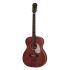 westerngitarre-aria-modell-101up-urban-player-stai_0001.jpg