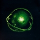 double-infinity-big-thief-4-ad-cd-_0002.JPG