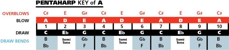 mundharmonika-hohner-penta-harp-b-moll-bb-diatonis_0007.jpg